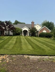 Professional weekly lawn mowing with crisp stripes in O'Fallon MO - service provided by Greenside Lawncare