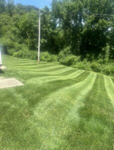 Vibrant green O'Fallon MO yard after pro mowing service- prefect stripes and healthy grass by Greenside Lawncare