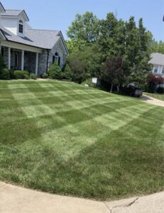 Manicured O'Fallon MO lawn showing professional mowing stripes and clean edges from Greenside Lawncare weekly service